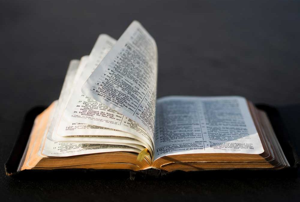 Bible Study Resources